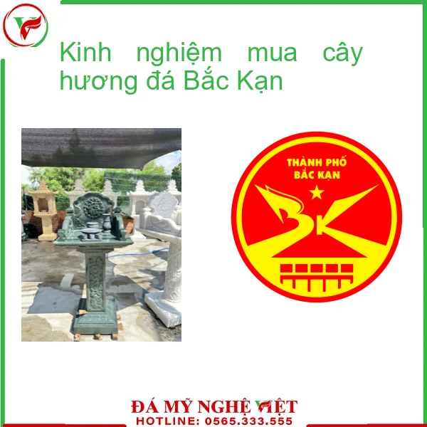 Kinh nghiệm mua cây hương đá Bắc Kạn