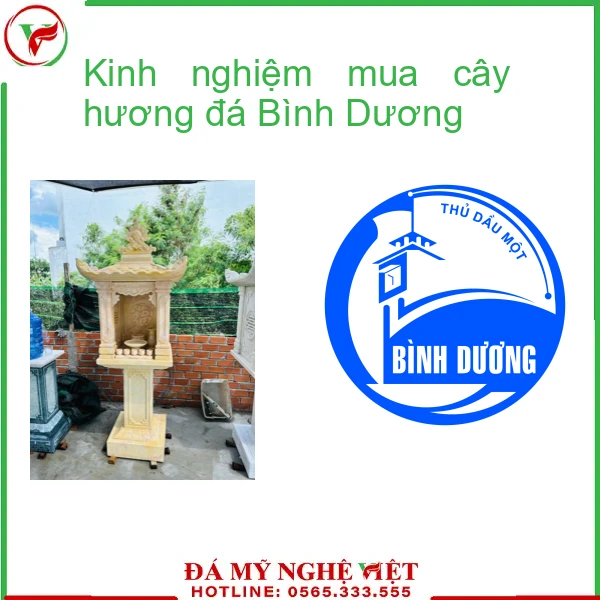 Kinh nghiệm mua cây hương đá Bình Dương
