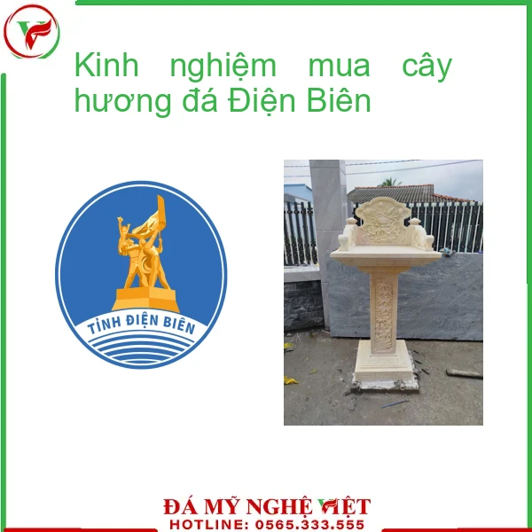 Kinh nghiệm mua cây hương đá Điện Biên