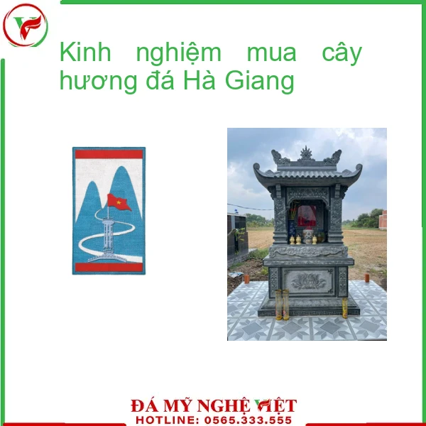 Kinh nghiệm mua cây hương đá Hà Giang