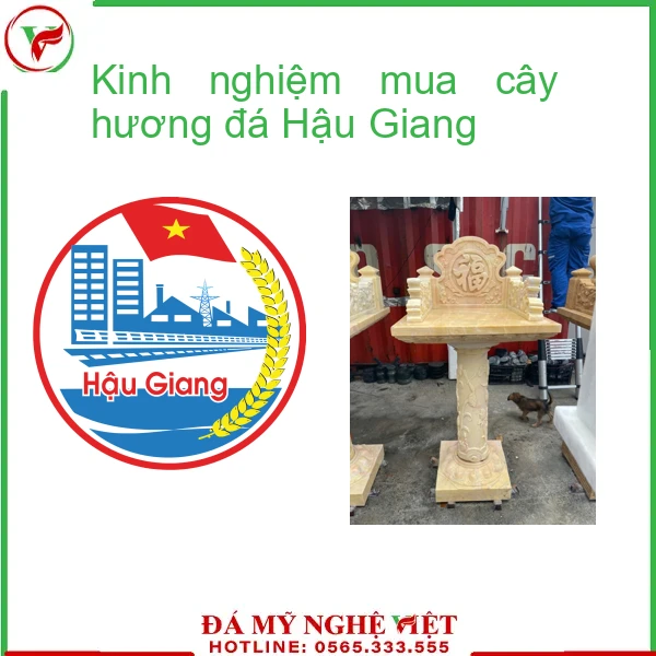 Kinh nghiệm mua cây hương đá Bình Định-2