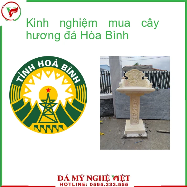 Kinh nghiệm mua cây hương đá Hòa Bình