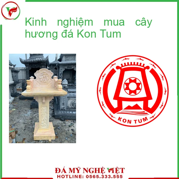 Kinh nghiệm mua cây hương đá Kon Tum