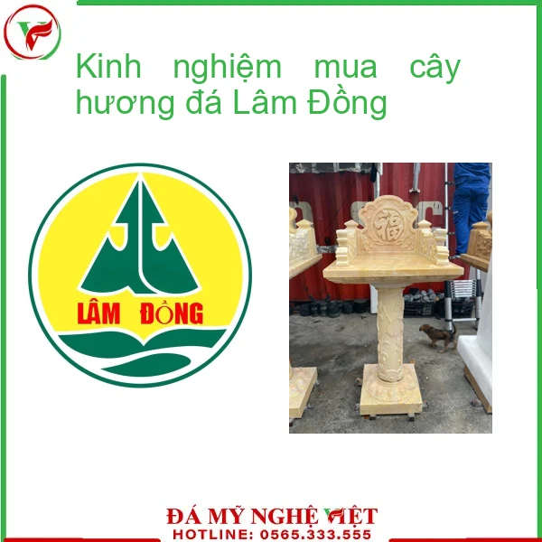 Kinh nghiệm mua cây hương đá Lâm Đồng