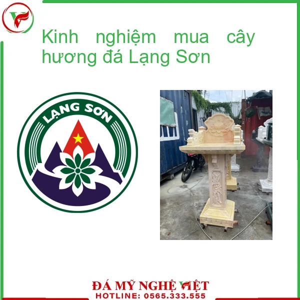 Kinh nghiệm mua cây hương đá Lạng Sơn