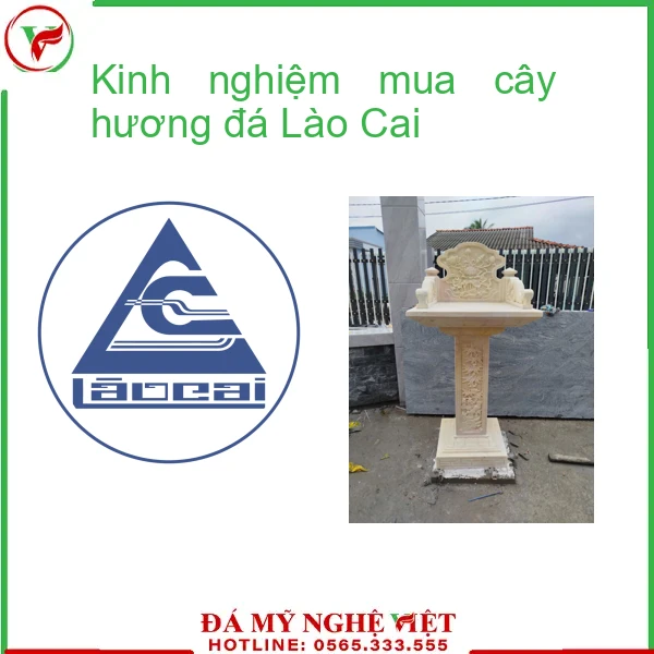Kinh nghiệm mua cây hương đá Lào Cai